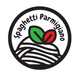 Spaghetti Parmigiano